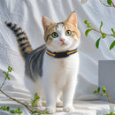 IP67 Waterproof Mini 4G GPS Animal Tracker Collar Anti-Lost Real Time Tracking Dog Cat Locator Pet Dog Cat Fashion Neck Collar