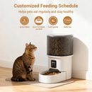 The Steward | 4L Programmable Automatic Pet Feeder
