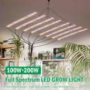 Full Spectrum LED Grow Light 100W 200W AC100-277V LM281B For Veg Flowers Greenhouses Plant Tent Growing Lamp