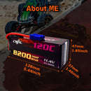 CNHL 2S 3S 4S Lipo Battery 7.6V 11.4V 15.2V 8200mAh 120C HV HardCase With EC5 Plug For RC Car Boat Airplane Truck Vehicle Truggy