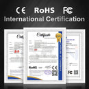 R&D TC100 Coating Thickness Gauge 0.1micron/0-1300 Car Paint Film Thickness Tester Measuring FE/NFE Russian Manual Paint Tool