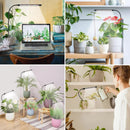 The Sunthread | 48-LED Full-Spectrum Grow Light with Auto Timer