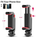 The Rig Anchor | Ulanzi ST-06S Dual Cold-Shoe Phone Mount