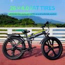 IDOTATA Electric Bike 2000W 48V 25Ah Mountain EBike 26Inch Adult Snow Electric Bike 7 Speed Cycling Bicycle 4.0 Fat Tire E bike