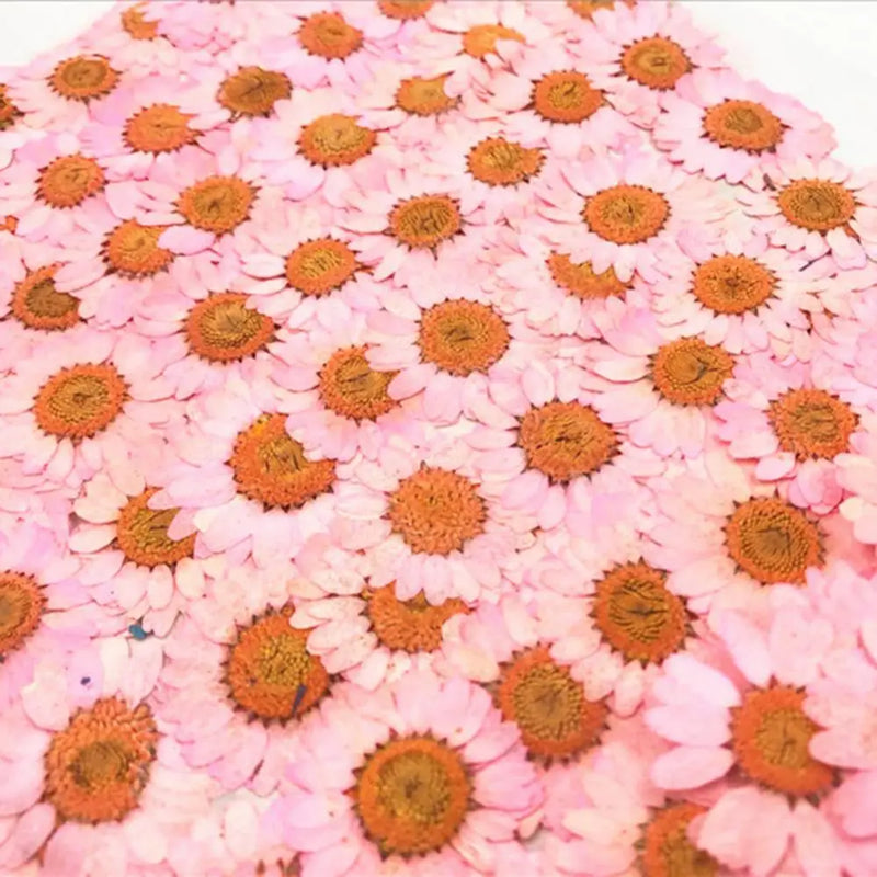 DIY Epoxy Resin 12Pcs Natural Flower Pressed Dried Nail Craft Phone Decoration