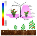 DC5V/12V LED Grow Light USB Phyto Lamp Full Spectrum Fitolampy With Control For Plants Seedlings Flower Indoor Fitolamp Grow Box
