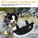 The Boundary Keeper | Intelligent Wireless Pet Containment System for Up to 3 Dogs