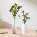 1 Branch Artificial Plant Non-fading Decorative Plastic Artificial Flytrap Grass Plant Home Party Desktop Decoration for Balcony