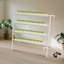 Bymaocar Hydroponic Grow Kit, 36 Löcher, 4 Röhren, erdelose Pflanzenzuchtsysteme, Tiefwasserkultur-Garten mit Pumpe