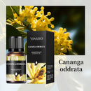 Aromatherapy 10ml Essential Oils for Humidifier Aromatic Oil Fragrance Oil Water-soluble Lavender Rose Lemon Mint