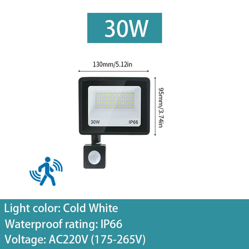 PIR Motion Sensor LED Flood Light 10W 20W 30W 50W 100W 150W 200W 300W AC220V IP66 Waterproof Spotlight Street Floodlight Outdoor