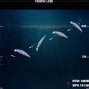 High Quality 30g/95mm Fishing Lure Hard Bait Minnows Fake Bait for Freshwater and Saltwater  Swimbait for Carp Fishing