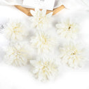 44572422865119|44572422897887