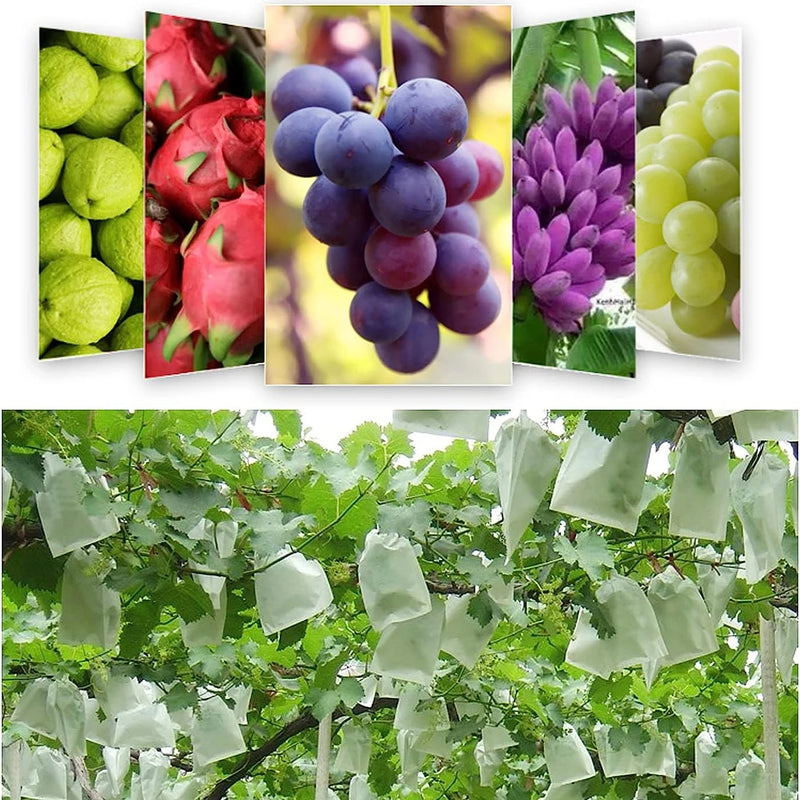 100/50Pcs Garden Fruit Protection Bags Non-woven Fabric Grape Protection Bags Anti-bird Insect Barrier Pouch for Apple Vegetable