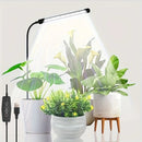 The Sunthread | 48-LED Full-Spectrum Grow Light with Auto Timer