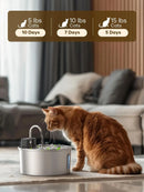 The Oasis Well | 3.2L Wireless Stainless Steel Cat Water Fountain with Smart Sensor
