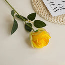 DIA 8CM Artificial Roses Valentine's Day Plastic Juana Flower Bouquet Wedding Decoration Living Room Dining Table Ornament Roses
