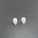 1pair Bloodcurdling Vampire Werewolves Fangs Fake Dentures Teeth Costume Halloween Fad