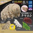 Japan Original Kawaii Gashapon Figure Anime Water Bear Figurine Tardigrade Cute Capsule Toys Miniature Doll Decor Gift