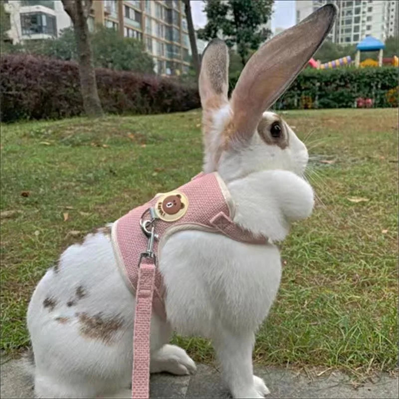 Cute Rabbit Harness and Leash Set Bunny Pet Accessories Vest Harnesses Rabbit Leashes for Outdoor Walking Newest Pets Supplies