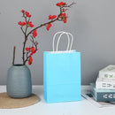 The Brown Standard | Premium Kraft Gift Bags with Handles (10-Pack)
