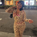 VEITCHE Women's Summer Outfit Casual Leopard Print Long Pant Suit Slim Hoodie Zipper Top High Waist Trousers Set Street Style