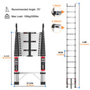 The Skyline Reach | Stainless Steel Telescopic Ladder, 150 kg Rated