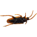 12pcs Prank Artificial Fake Cockroach Plastic Simulation Fake Roach Bug Funny Trick Joke Toys Halloween Props Spoof Decoration
