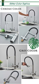 The Cascade | 2-in-1 Filtered Water Kitchen Faucet with 360° Pull-Down Sprayer