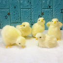 Simulation Küken Deko Plüsch Huhn Modell Figur Niedliches Ornament Realistisches Fell Tierpuppe Huhn Ostergeschenk Kinder