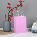 The Brown Standard | Premium Kraft Gift Bags with Handles (10-Pack)