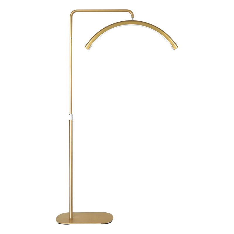 Fosoto FT-Y9 28 inch Gold Lamp LED Half-Moon Shaped Light Led Video Lash Light With Lamp Stand For Beauty Eyelash Tattoo Makeup