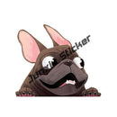 45340884271327|45340884336863|45340884369631|45340884402399|45340884435167