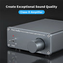 Fosi Audio 2 Channel TPA3116D2 Stereo Audio Class D Amplifier 50W X 2 - V1.0 Power Amplifier For Home Passive Speakers