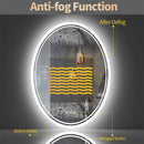 LUVODI 60x80cm Oval Bathroom Mirror LED Backlit Wall Vanity Mirror for Bathroom Bedroom Salon