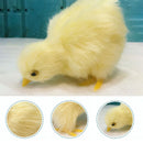 Simulation Küken Deko Plüsch Huhn Modell Figur Niedliches Ornament Realistisches Fell Tierpuppe Huhn Ostergeschenk Kinder