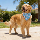 Dog Bandana Fruit Floral Spring Washable Soft Doggy Scarf Kerchief Summer Adjustable for Small Medium Large Dogs Pets