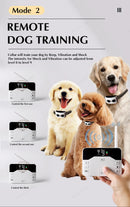 The Boundary Sentinel | Dual-Mode Wireless Pet Containment System