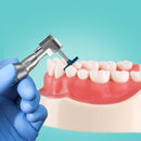 AZDENT 6pcs/Set Dental Composite Resin Wheel High Efficiency for Dentists Teeth Care Tools Whitening Diamond System Polish