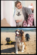 The Invisible Boundary | 2-in-1 Wireless Pet Fence & Training Collar