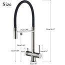 The Cascade | 2-in-1 Filtered Water Kitchen Faucet with 360° Pull-Down Sprayer