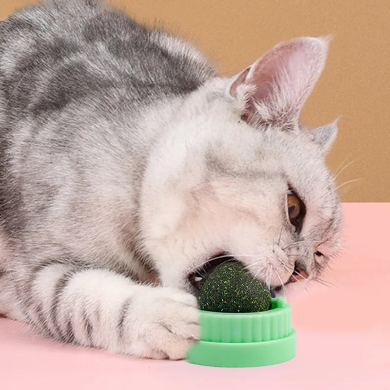 Pet Cat Mint Ball Three in One Licking and Licking Happy Cat Snacks Appetizing and Helping Digestion, Self Help