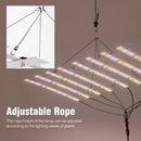 Full Spectrum LED Grow Light 100W 200W AC100-277V LM281B For Veg Flowers Greenhouses Plant Tent Growing Lamp