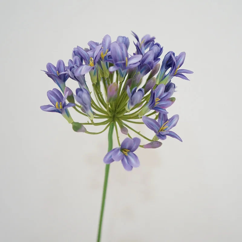 Luxury African agapanthus branch home table decoration silk artificial flowers Photo props hotel decor flores artificiales