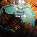 Reptilien-Futter- und Trinkschale, automatische Wasserspender für Schildkröten und Schlangen