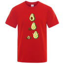 45553171792095|45553172021471|45553172119775|45553172152543|45553172218079|45553172250847