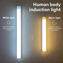The Sentinel | USB-C Rechargeable Motion Sensor LED Night Light
