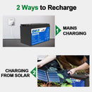 The Power Vault | 12V/24V LiFePO4 Battery 100-300Ah with Built-in BMS for Solar & RV