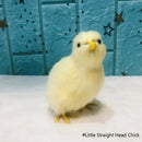 Simulation Küken Deko Plüsch Huhn Modell Figur Niedliches Ornament Realistisches Fell Tierpuppe Huhn Ostergeschenk Kinder