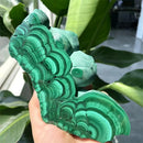 New product Natural Green Malachite Slices Polished Mineral Specimens Rough Quartz Crystal Sheeting Healing Stone Garden Decor